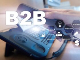 How HubSpot Empowers B2B Success